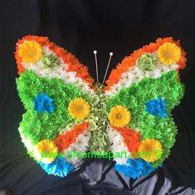 fwthumbButterfly - IMG_1198.jpg